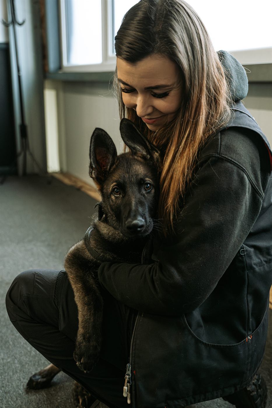 Dog training consultation and handover with Rogue Wolves K9.