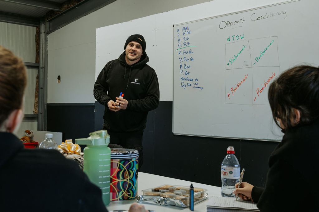 Structured daily training sessions.