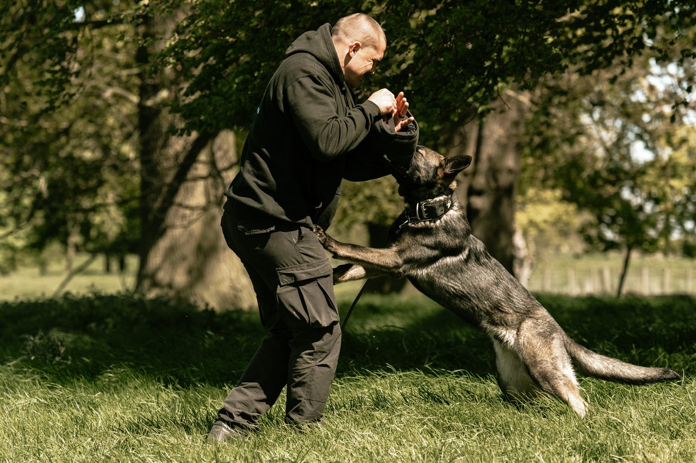 Protection dog bite foundation training with grip and targeting work.