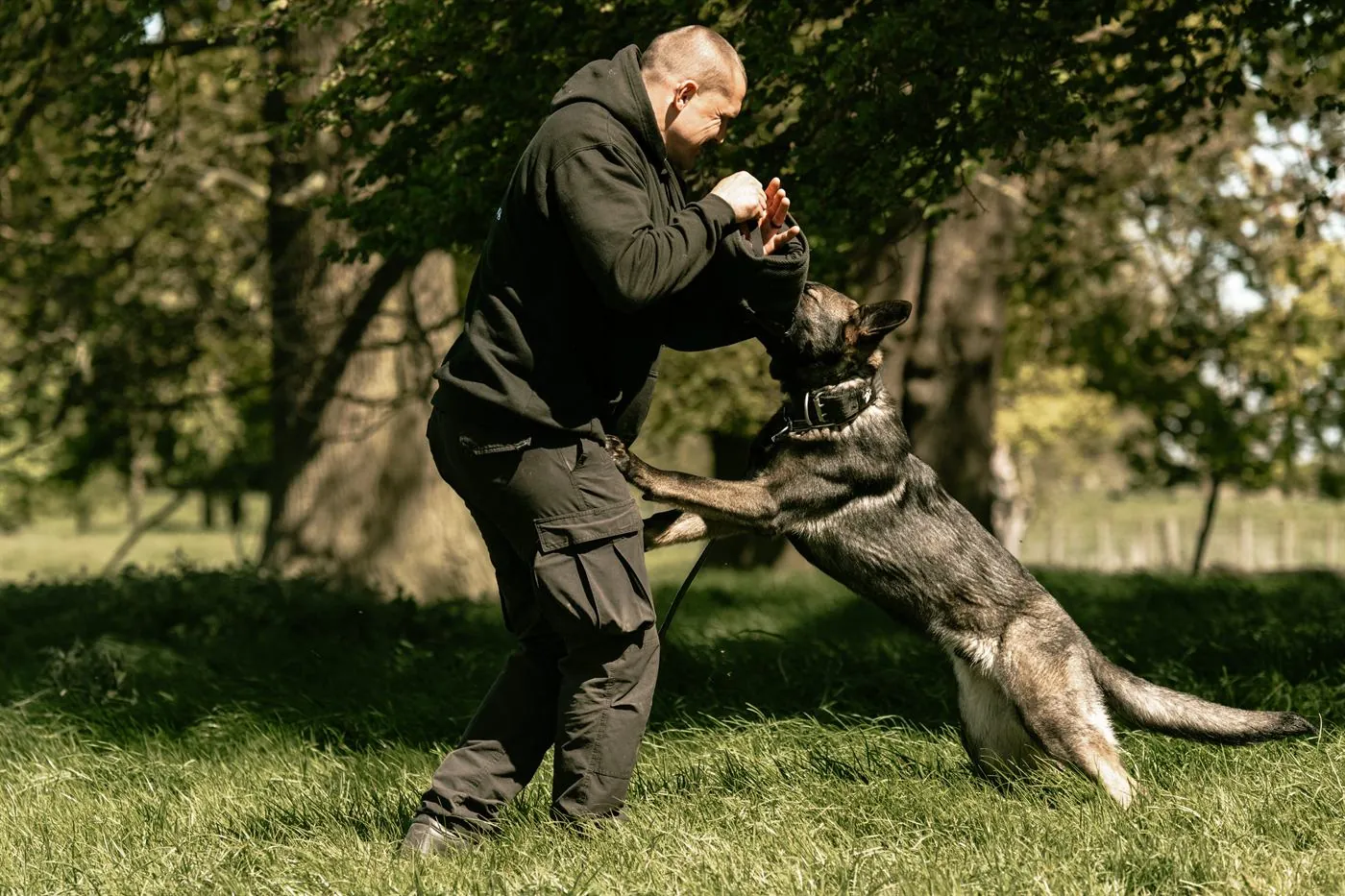 Protection dog bite foundation training with grip and targeting work.
