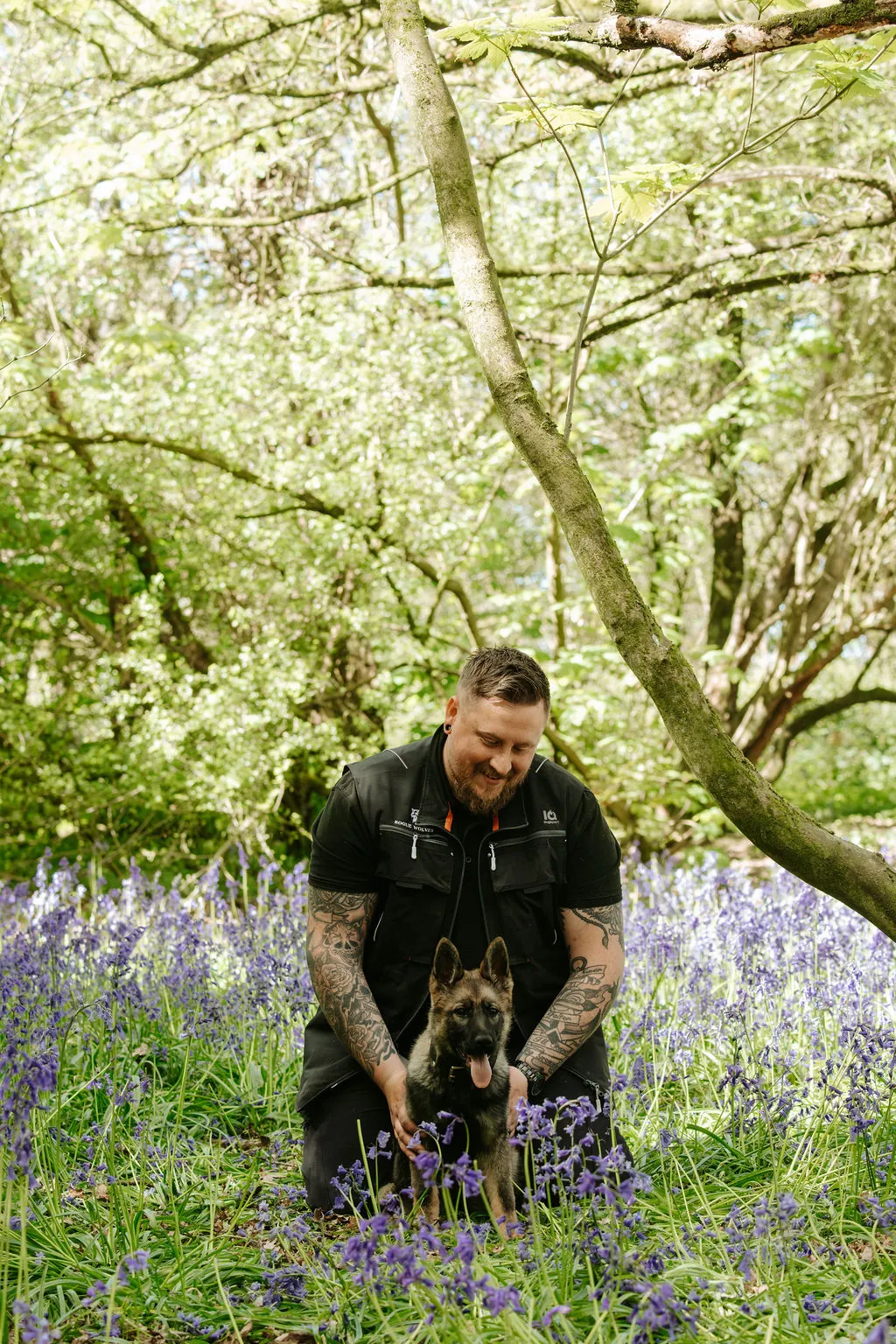 Ruin — German Shepherd.
