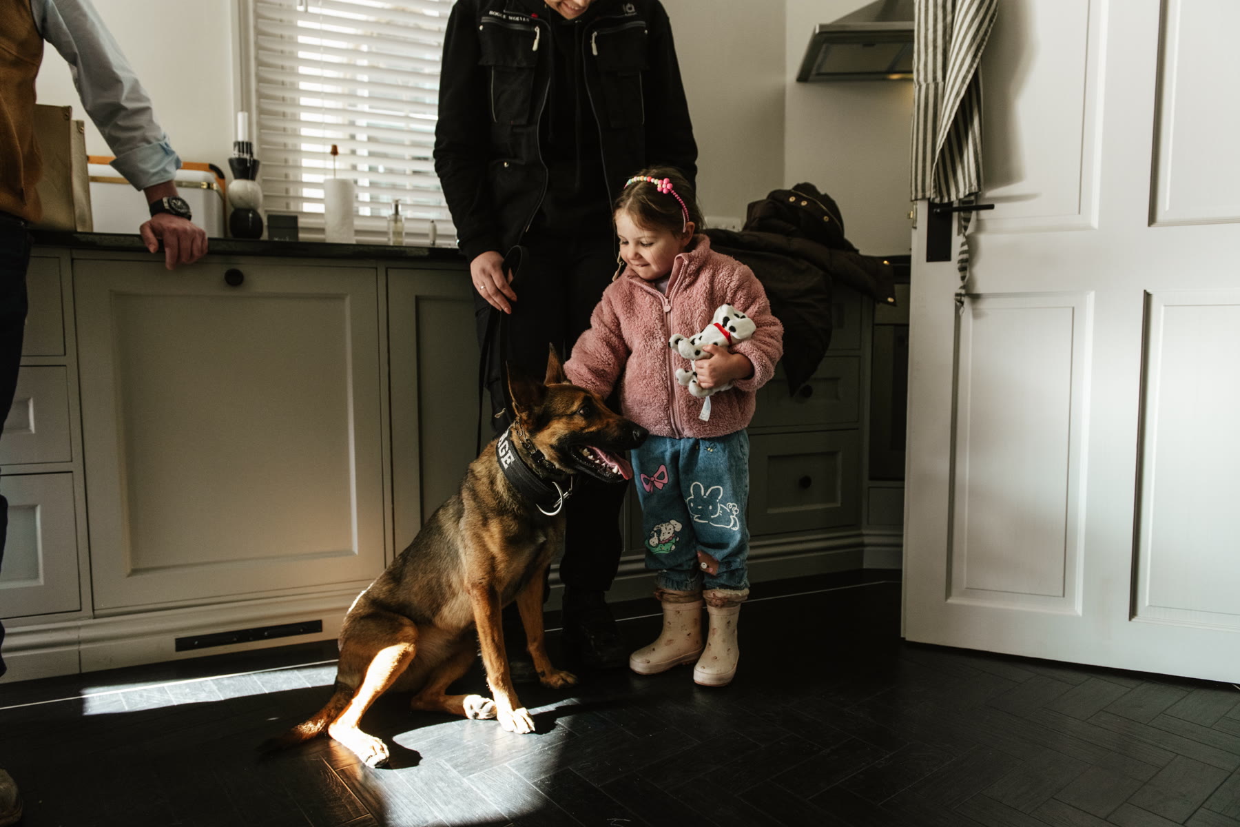 Fully trained protection dog ready for owner handover.